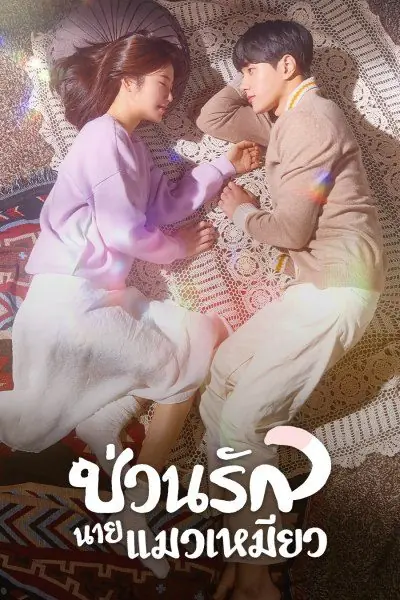 Meow, the Secret Boy ป่วนรักนายแมวเหมียว